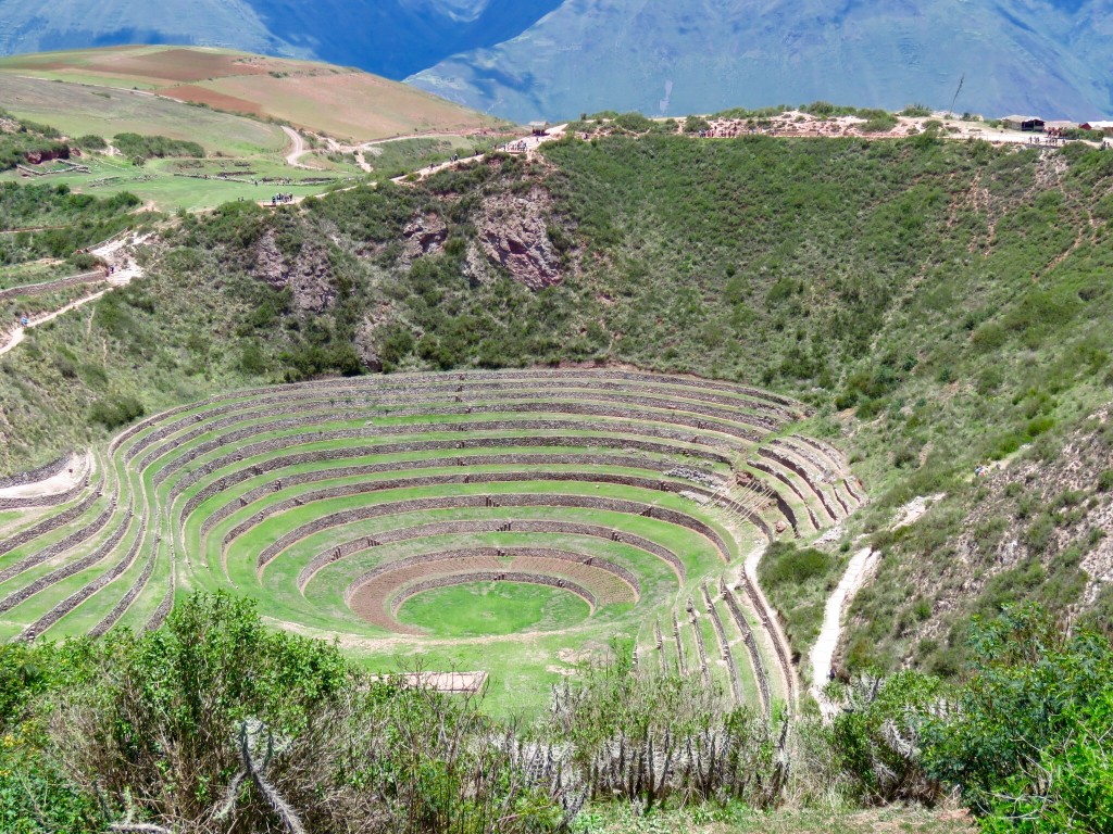 Terraces at Moray Agricultural Station