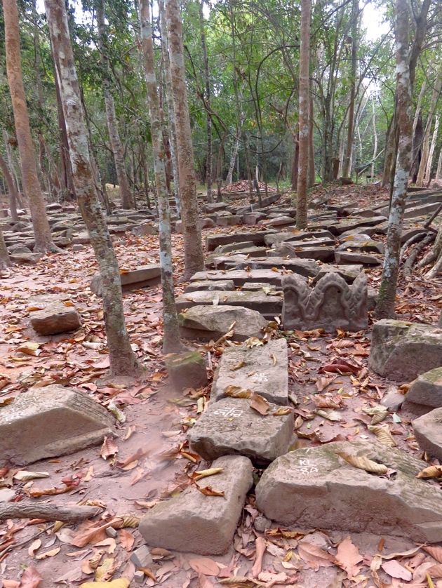 Siem Riep, Cambodia-Ta Prom Temple restoration