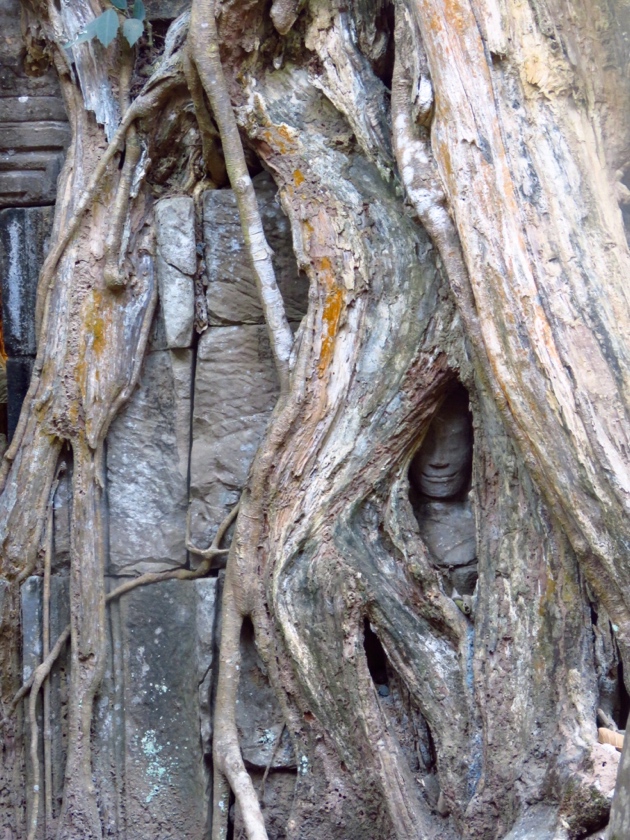 Siem Riep, Cambodia-Ta Prom–face in the tree