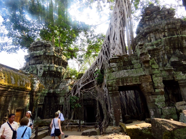 Siem Riep, Cambodia-Ta Prom-temple in the trees