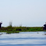 Myanmar–Inle Lake–Tending The Floating Gardens