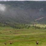 Tanzania–Ngorongoro Crater Rim To Floor